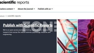 Rio Tinto: Povlačenje članka